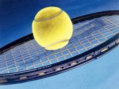 23 февраля Запатентован корт для игры в большой теннис