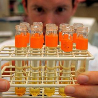 WADA 18 июля обнародует доклад о допинге на Олимпиаде в Сочи