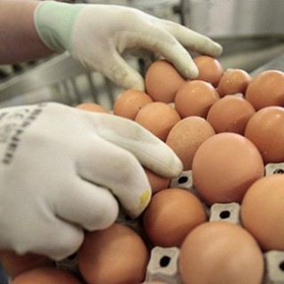 В России могут ужесточить наказание за продуктовый брак