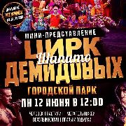 В честь празднования Дня России Цирк-шапито Демидовых даст бесплатное мини-представление в городском парке Уссурийска 12 июня в 12-00