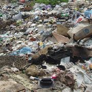 Полторы тонны отходов оставил китайский овощевод на землях Уссурийска