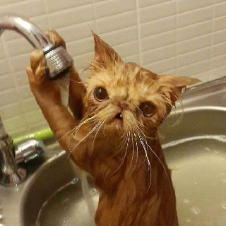 Портал «Золото Уссурийска» разыграл комплект билетов на концерт Валерия Леонтьева