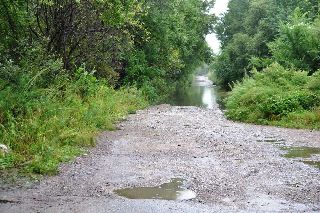 За сутки в Уссурийском городском округе выпало 20,5 мм осадков