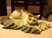 Итоги конкурса Итоги конкурса