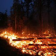 Уссурийцы могут помочь погорельцам из Сибири