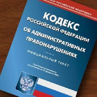 За недоработку чиновника к ответственности привлекли главу Уссурийского городского округа