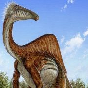 В Боливии найден гигантский след динозавра