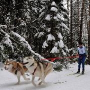 Четырехлапые двигатели протестировали под Уссурийском