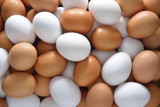 Уссурийская птицефабрика является лидером производства яиц в Приморье