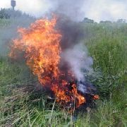 В Уссурийске сотрудники полиции провели операцию «Мак-2016»