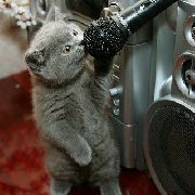 Портал «Золото Уссурийска» разыграл два комплекта билетов на спектакль «На струнах дождя»