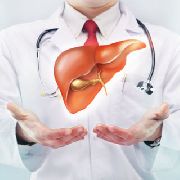 Советы по восстановлению печени после праздников