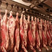 Покупать мясо в Уссурийске стало опасно для здоровья