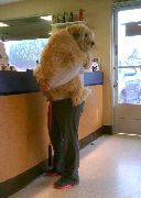 Билеты на концерт Дениса Майданова разыграны!