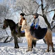 Новое развлечение уссурийцев: охота по-царски на лошадях и с русскими борзыми