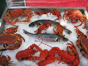 Рыбный рынок  появится в Уссурийске