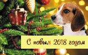 С Новым Годом 2018!