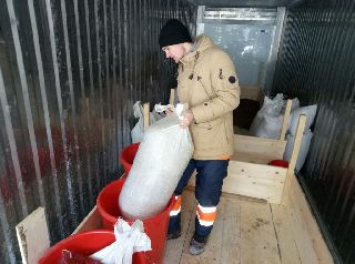 Студенты-лесники Приморской ГСХА подготовили к посеву 2 тонны семян кедра