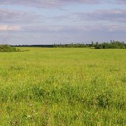 Многодетные семьи Уссурийска продолжают получать земельные участки