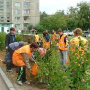 В Уссурийске идут аукционы на озеленение