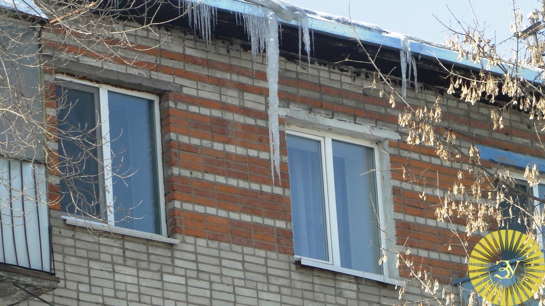 За несколько дней в травмпункт Уссурийска обратились сотни пострадавших 