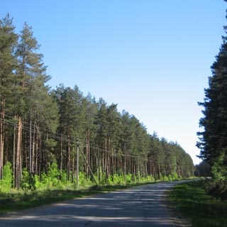 В УГО найден труп девушки