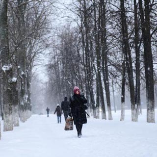 Уссурийск вновь «накрыло» снегом