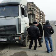 За что задержали лесовоз в Уссурийске? (6 фотографий)