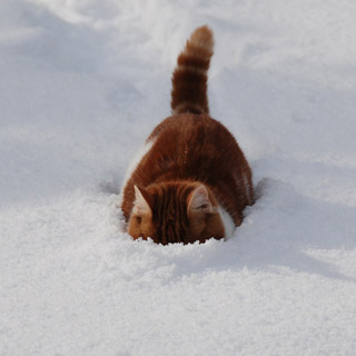 Уссурийцам разрешили опаздывать на работу