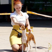 В Уссурийске состоялась выставка собак на приз главы администрации УГО (6 фотографий)