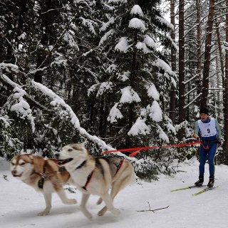 Четырехлапые двигатели протестировали под Уссурийском