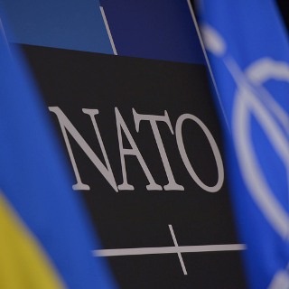 Украина не станет членом ЕС и НАТО в ближайшие 20-25 лет