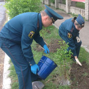 Отдел надзорной деятельности округа подарил Уссурийску новые березы (5 фотографий)