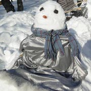 Ваятели снежной красоты (5 фотографий)