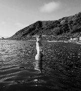 Сошникова Юлия