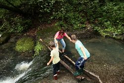 Оксана Пыркина Оксана Пыркина