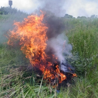 В Уссурийске сотрудники полиции провели операцию «Мак-2016»